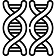 dna_2547726 1