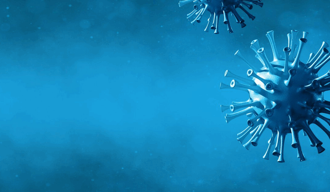 In Vitro Immunogenicity Risk Assessment