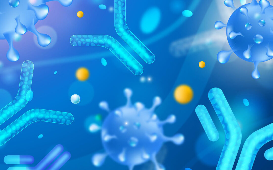Mixed Lymphocyte Reaction (MLR) Assay Services: A High-Throughput Immunological Platform for Evaluating Immunomodulatory Therapeutics