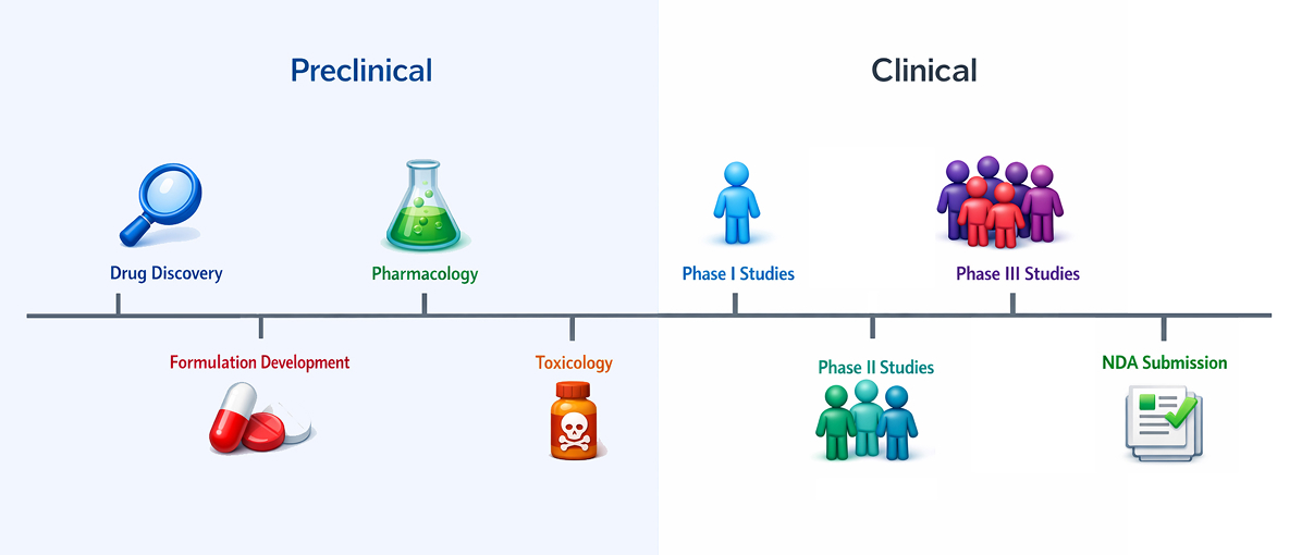 Preclinical Studies
