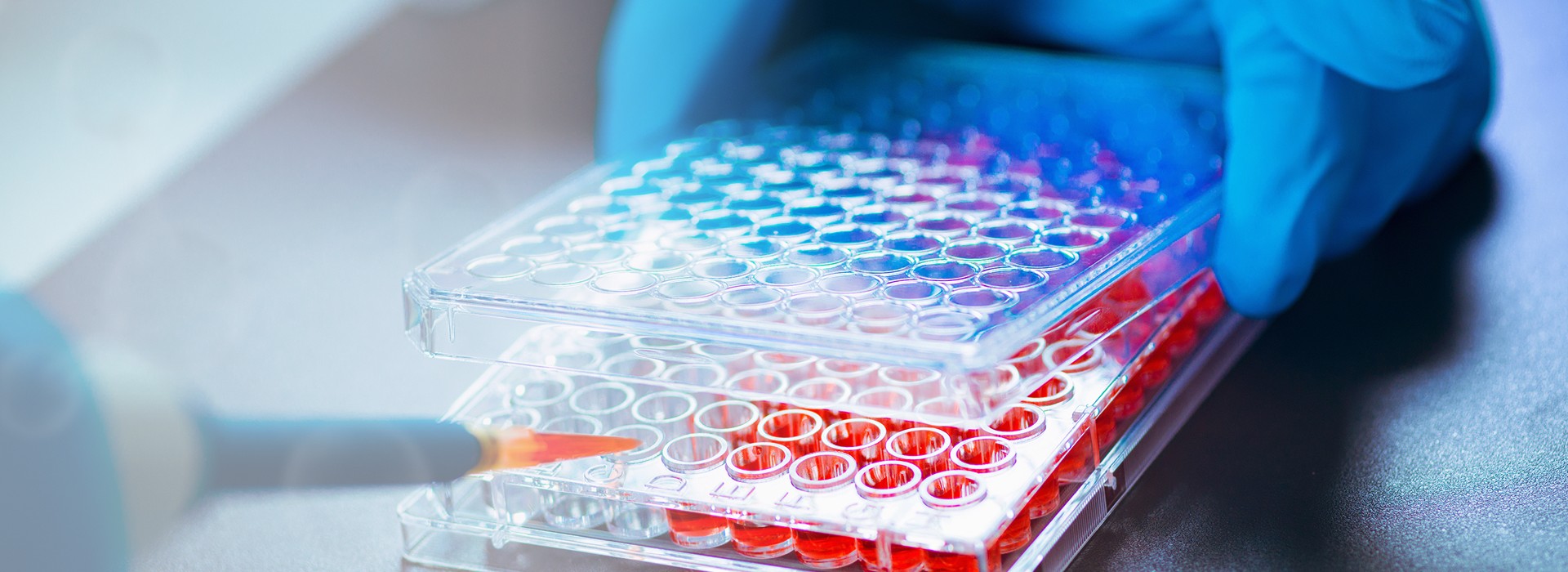 preclinical research services