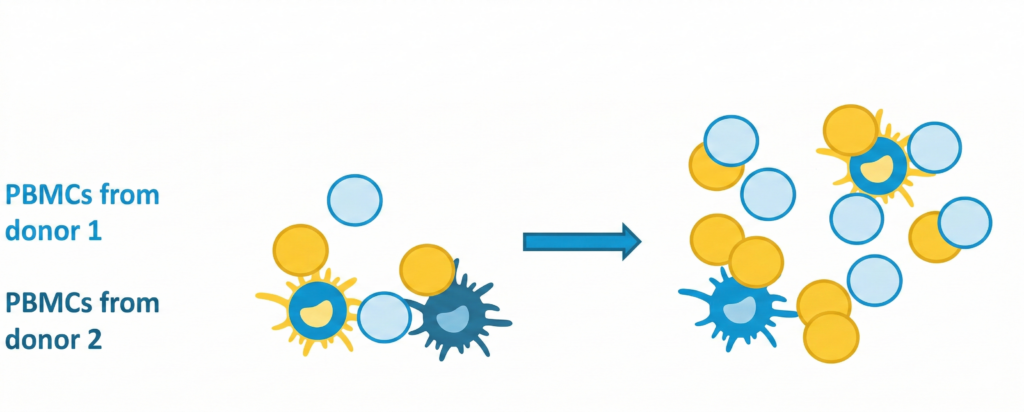 MLR Assays - Two way Study