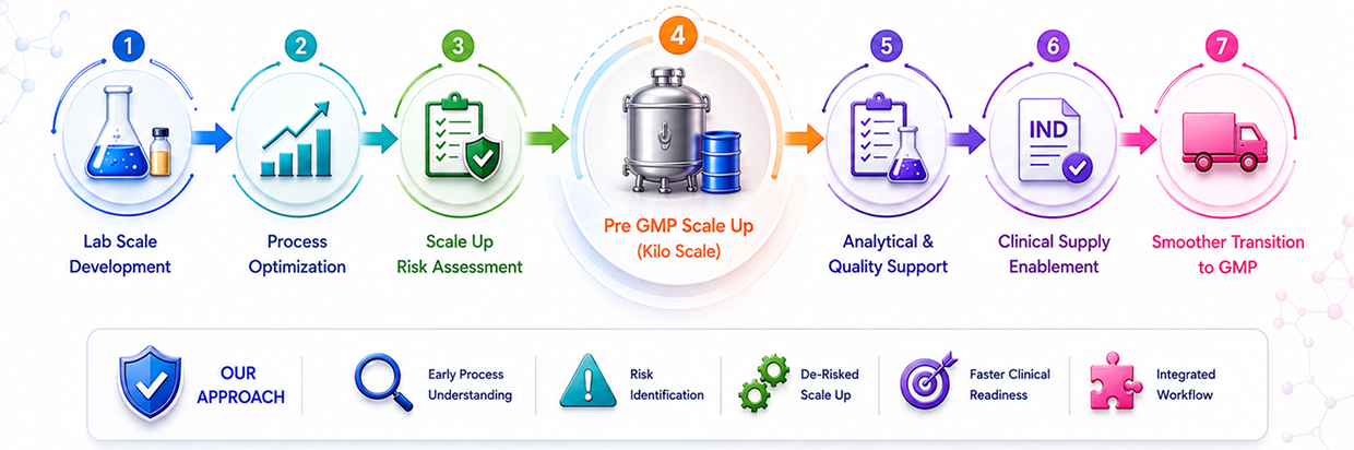 Pre GMP Scale Up