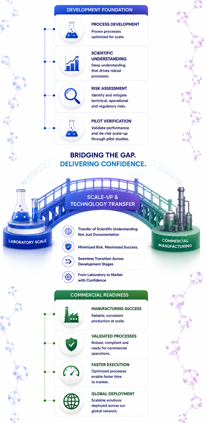 Scale-Up & Technology Transfer