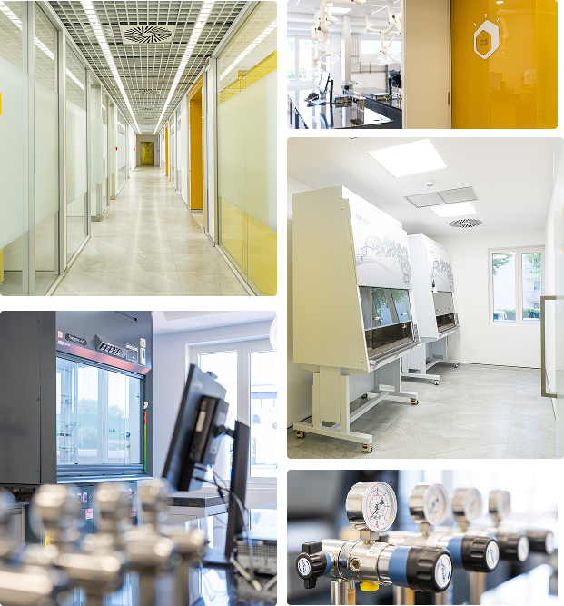 Corridor Area